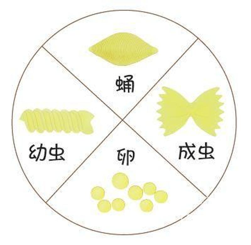 简谈国产 *** 游戏的生命周期及各个阶段的特点-第3张图片-科技快讯