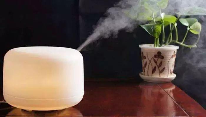 加湿器有什么作用呢(加湿器的作用是什么-氧吧加湿器是什么-)-第3张图片-科技快讯 加湿器有什么作用呢(加湿器的作用是什么-氧吧加湿器是什么-)-第3张图片-科技快讯