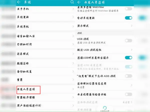 开发者选项和开发者模式的区别(三星开发者选项在哪)-第14张图片-科技快讯 开发者选项和开发者模式的区别(三星开发者选项在哪)-第14张图片-科技快讯