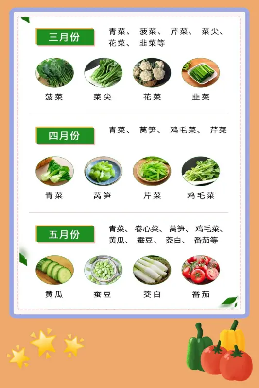 蔬菜都有哪些啊-什么叫蔬菜-第4张图片-科技快讯 蔬菜都有哪些啊-什么叫蔬菜-第4张图片-科技快讯