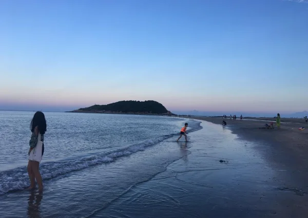 这是什么贝类海鲜(贝类海鲜有哪些 贝类海鲜的介绍)-第5张图片-科技快讯