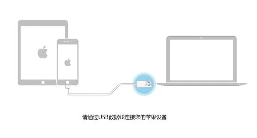 64位itunes的同步在哪(itunes下载32位和64位的问题)-第8张图片-科技快讯