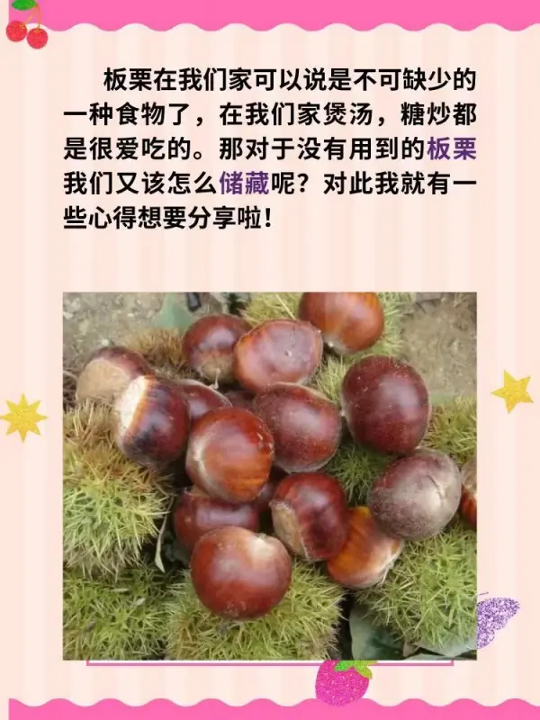 怎么存放板栗不会坏 怎样保存板栗不会坏-第2张图片-科技快讯 怎么存放板栗不会坏 怎样保存板栗不会坏-第2张图片-科技快讯