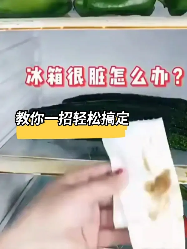 冰箱怎么样除异味(如何给冰箱除异味)-第1张图片-科技快讯