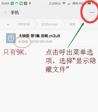 QD在线视频播放器(免费在线视频播放器)-第13张图片-科技快讯