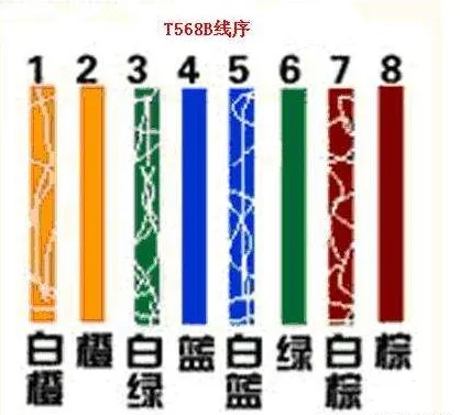 网线水晶头排线疑问(网线水晶头排线问题)-第4张图片-科技快讯 网线水晶头排线疑问(网线水晶头排线问题)-第4张图片-科技快讯