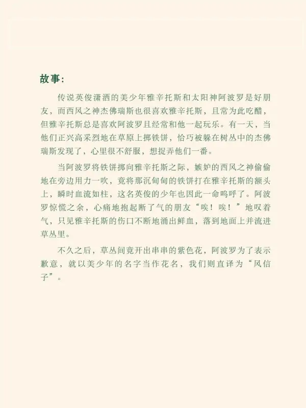 怎样养好风信子-风信子什么时候养为好,怎么养-第7张图片-科技快讯 怎样养好风信子-风信子什么时候养为好,怎么养-第7张图片-科技快讯