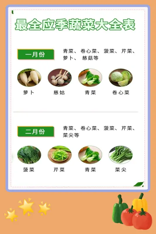 蔬菜都有哪些啊-什么叫蔬菜-第3张图片-科技快讯 蔬菜都有哪些啊-什么叫蔬菜-第3张图片-科技快讯