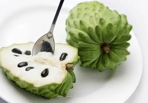 这个是释迦果吗(这是什么植物-有一股像释迦果叶子的臭味。)-第17张图片-科技快讯 这个是释迦果吗(这是什么植物-有一股像释迦果叶子的臭味。)-第17张图片-科技快讯