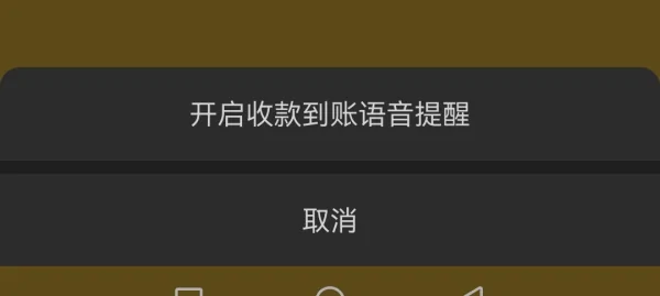 怎样在微信上设置语音收款提示音-如何设置微信收款到账语音提示--第13张图片-科技快讯 怎样在微信上设置语音收款提示音-如何设置微信收款到账语音提示--第13张图片-科技快讯