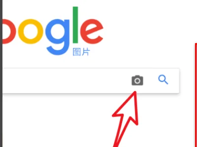 google看图识人在哪-第8张图片-科技快讯 google看图识人在哪-第8张图片-科技快讯