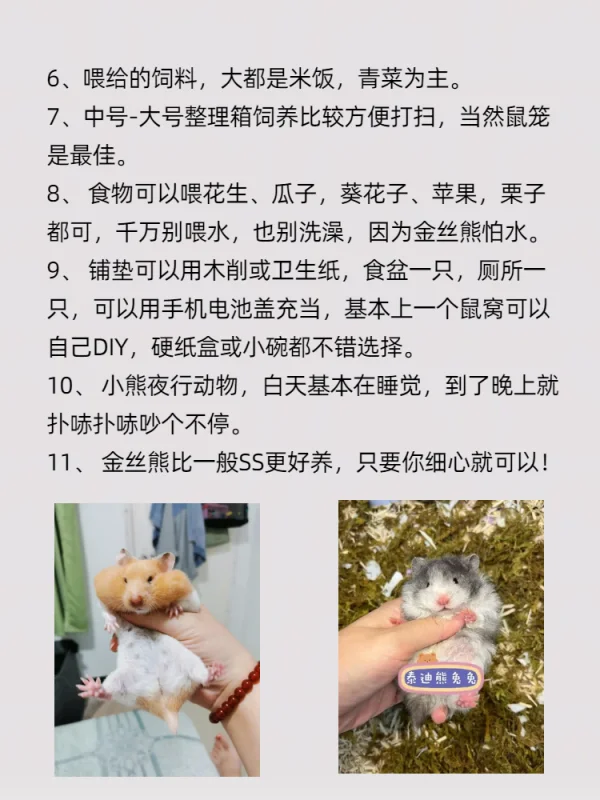 1000多手机有什么推荐(1000出头的手机推荐)-第9张图片-科技快讯 1000多手机有什么推荐(1000出头的手机推荐)-第9张图片-科技快讯