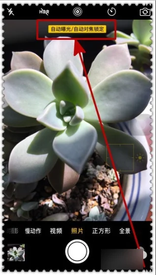 微距拍摄的技巧 微距拍摄的技巧介绍(手机微距拍摄技巧有哪些)-第3张图片-科技快讯 微距拍摄的技巧 微距拍摄的技巧介绍(手机微距拍摄技巧有哪些)-第3张图片-科技快讯