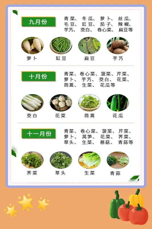 蔬菜都有哪些啊-什么叫蔬菜-第6张图片-科技快讯 蔬菜都有哪些啊-什么叫蔬菜-第6张图片-科技快讯