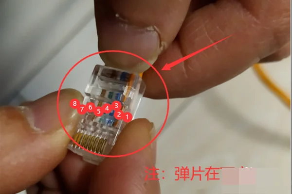 网线接头顺序是什么 网线接头的正确顺序-第3张图片-科技快讯 网线接头顺序是什么 网线接头的正确顺序-第3张图片-科技快讯