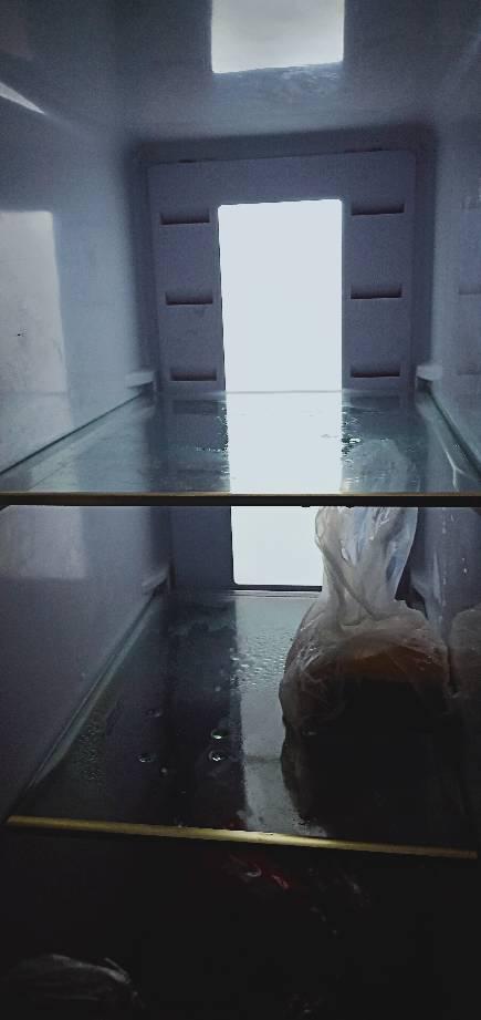 新飞冰箱质量怎么样新飞冰箱报价(新飞冰箱和康佳冰箱哪个好-)-第1张图片-科技快讯 新飞冰箱质量怎么样新飞冰箱报价(新飞冰箱和康佳冰箱哪个好-)-第1张图片-科技快讯