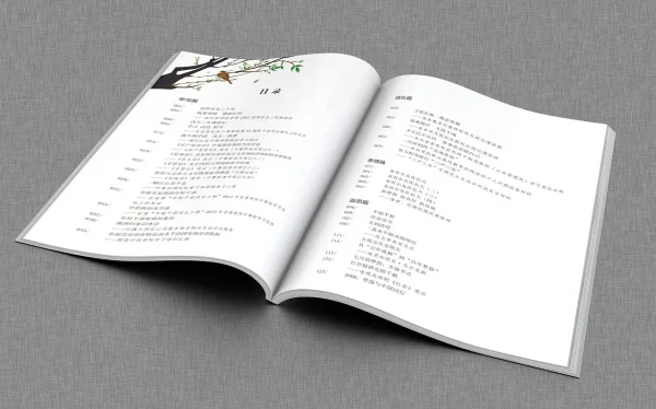 publisher文档 publisher是什么软件-第3张图片-科技快讯