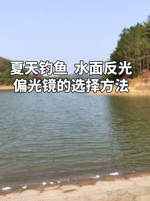 偏光镜是什么意思-偏光镜的功能偏光镜有什么用 偏光镜的用途有哪些-第2张图片-科技快讯 偏光镜是什么意思-偏光镜的功能偏光镜有什么用 偏光镜的用途有哪些-第2张图片-科技快讯