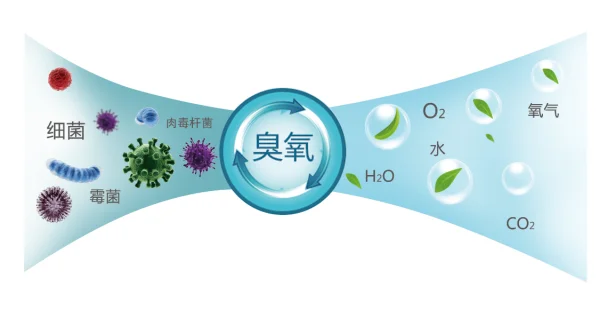 空气净化器和空气消毒机哪个好(能消毒的空气净化器有吗-)-第3张图片-科技快讯 空气净化器和空气消毒机哪个好(能消毒的空气净化器有吗-)-第3张图片-科技快讯