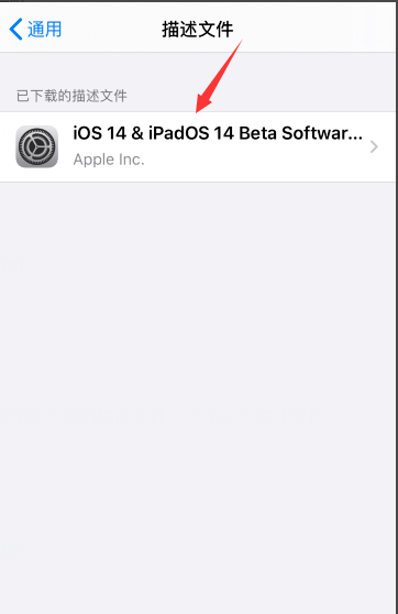 苹果ios14正式版(苹果iOS14正式版(全新功能与改进亮点))-第6张图片-科技快讯