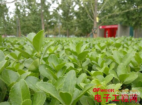 小米4与小米note哪个好-对比评测如下-第41张图片-科技快讯