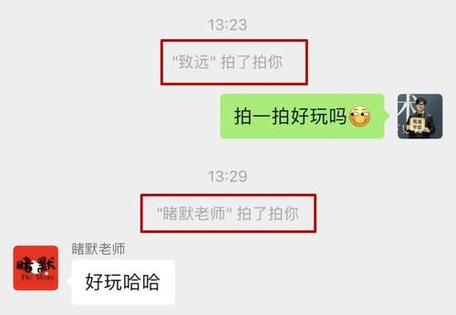 微信怎么拍对方一下(微信拍一下什么意思)-第9张图片-科技快讯 微信怎么拍对方一下(微信拍一下什么意思)-第9张图片-科技快讯