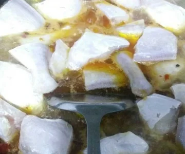 耗儿鱼是什么鱼啊-耗儿鱼是什么鱼 耗儿鱼是海鱼还是河鱼-第6张图片-科技快讯
