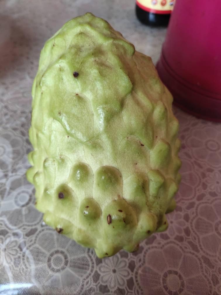 这个是释迦果吗(这是什么植物-有一股像释迦果叶子的臭味。)-第1张图片-科技快讯 这个是释迦果吗(这是什么植物-有一股像释迦果叶子的臭味。)-第1张图片-科技快讯