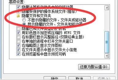 如何显示文件夹下的所以文件和文件夹-第9张图片-科技快讯 如何显示文件夹下的所以文件和文件夹-第9张图片-科技快讯