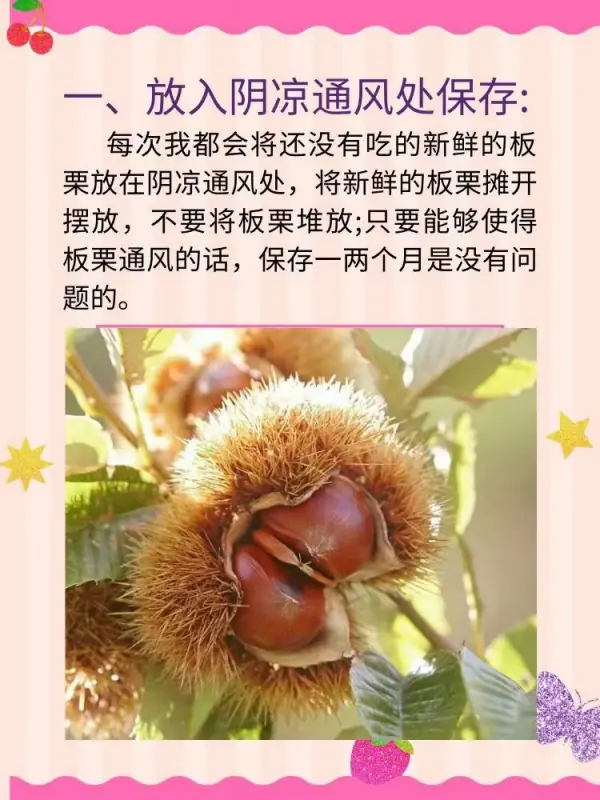怎么存放板栗不会坏 怎样保存板栗不会坏-第3张图片-科技快讯 怎么存放板栗不会坏 怎样保存板栗不会坏-第3张图片-科技快讯