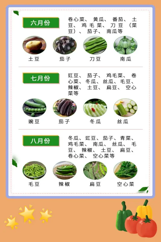 蔬菜都有哪些啊-什么叫蔬菜-第5张图片-科技快讯 蔬菜都有哪些啊-什么叫蔬菜-第5张图片-科技快讯