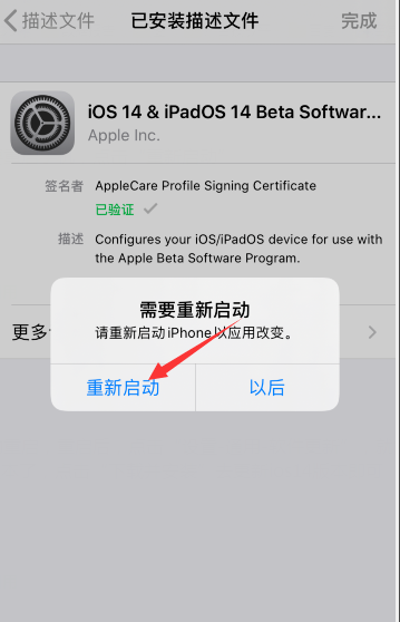 苹果ios14正式版(苹果iOS14正式版(全新功能与改进亮点))-第10张图片-科技快讯