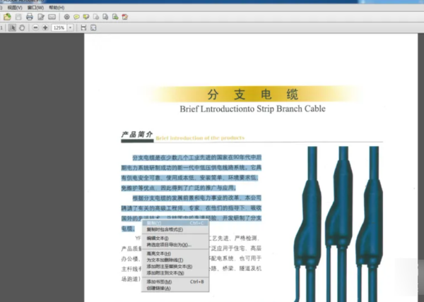 如何 *** 双层pdf文件-wps如何 *** pdf文件-第5张图片-科技快讯