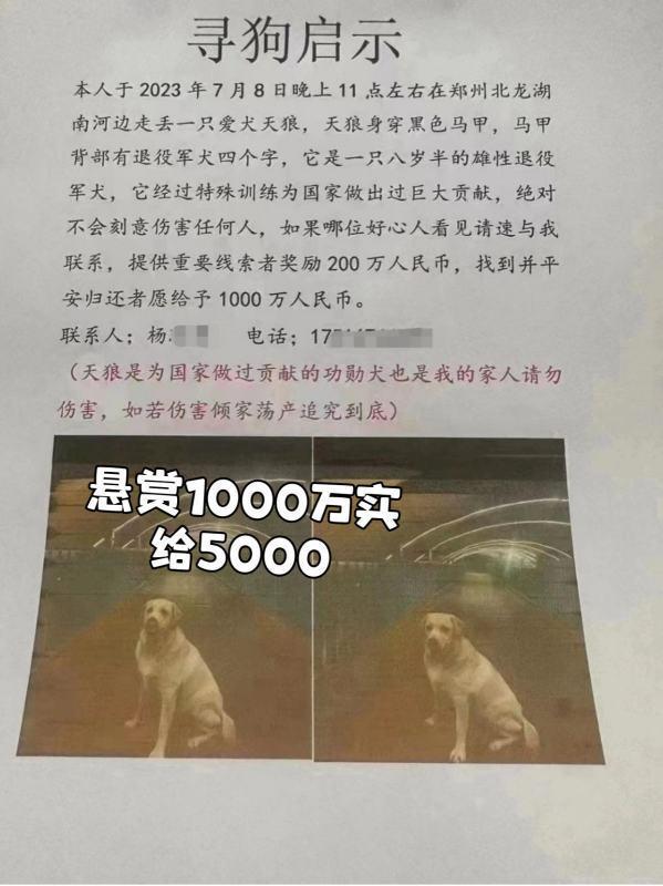狗丢了怎么找专业找狗团队-在什么地方找狗-第10张图片-科技快讯 狗丢了怎么找专业找狗团队-在什么地方找狗-第10张图片-科技快讯