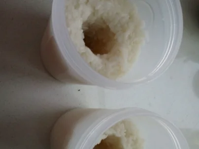 怎样用酸奶机做酒酿(酸奶机可以做酒酿吗)_1-第4张图片-科技快讯 怎样用酸奶机做酒酿(酸奶机可以做酒酿吗)_1-第4张图片-科技快讯