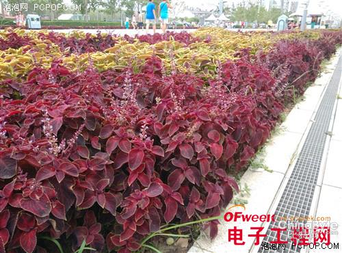 小米4与小米note哪个好-对比评测如下-第38张图片-科技快讯