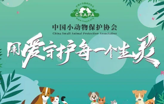 狗丢了怎么找专业找狗团队-在什么地方找狗-第4张图片-科技快讯 狗丢了怎么找专业找狗团队-在什么地方找狗-第4张图片-科技快讯