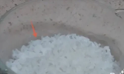 微波炉怎么样使用(微波炉怎么使用啊-)-第5张图片-科技快讯 微波炉怎么样使用(微波炉怎么使用啊-)-第5张图片-科技快讯