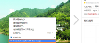 谷歌以图搜图怎么不见了(谷歌以图搜图关掉了-)-第5张图片-科技快讯 谷歌以图搜图怎么不见了(谷歌以图搜图关掉了-)-第5张图片-科技快讯