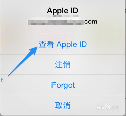 如何向苹果app充值(去上网app要充值吗)-第3张图片-科技快讯 如何向苹果app充值(去上网app要充值吗)-第3张图片-科技快讯
