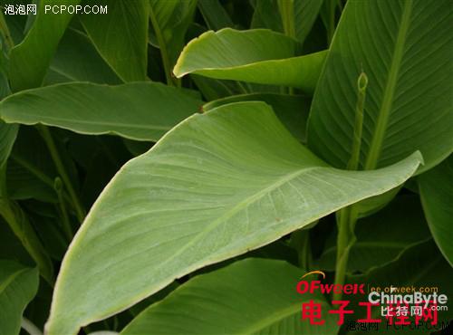 小米4与小米note哪个好-对比评测如下-第36张图片-科技快讯