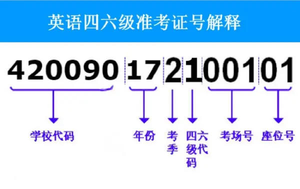 在99宿舍网查询六级成绩如何选择年份-第1张图片-科技快讯