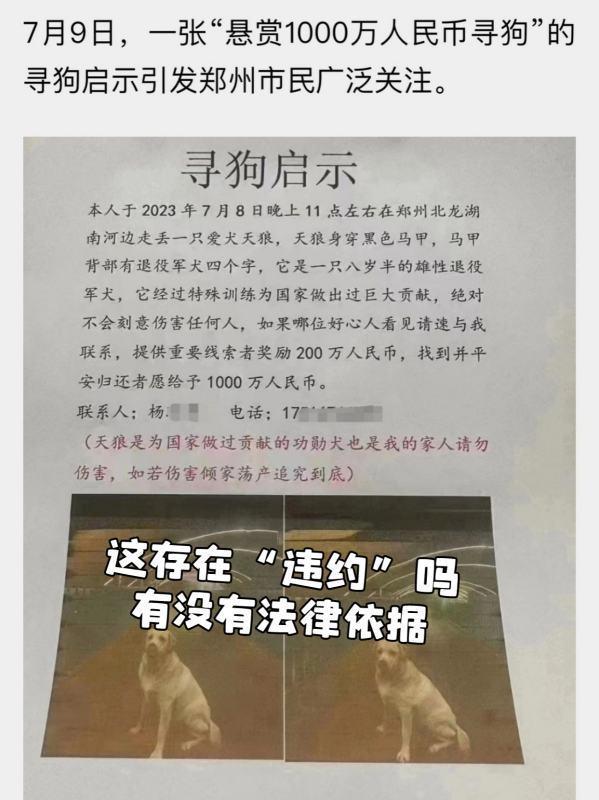 狗丢了怎么找专业找狗团队-在什么地方找狗-第11张图片-科技快讯 狗丢了怎么找专业找狗团队-在什么地方找狗-第11张图片-科技快讯