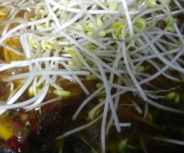 耗儿鱼是什么鱼啊-耗儿鱼是什么鱼 耗儿鱼是海鱼还是河鱼-第5张图片-科技快讯