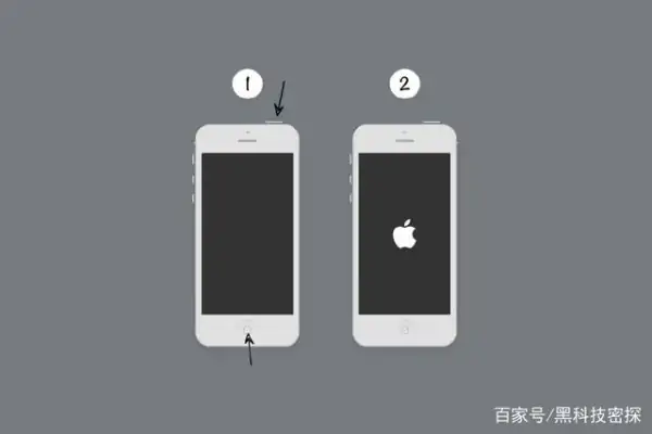 iphone1代到6代的图片(iphone1代是什么时候上市的)-第16张图片-科技快讯 iphone1代到6代的图片(iphone1代是什么时候上市的)-第16张图片-科技快讯