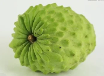 这个是释迦果吗(这是什么植物-有一股像释迦果叶子的臭味。)-第3张图片-科技快讯 这个是释迦果吗(这是什么植物-有一股像释迦果叶子的臭味。)-第3张图片-科技快讯