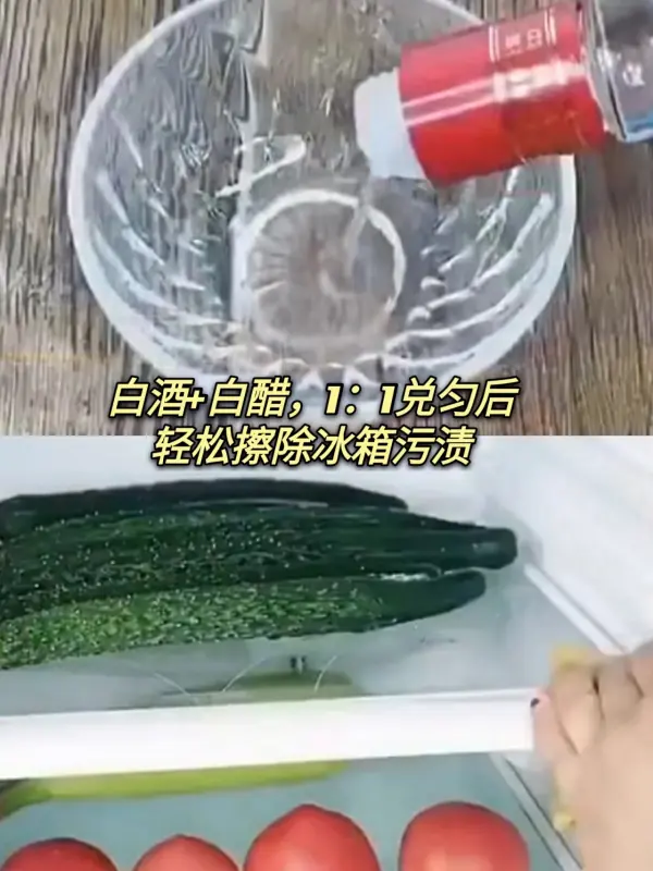 冰箱怎么样除异味(如何给冰箱除异味)-第2张图片-科技快讯