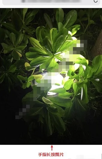 回收站删除了怎么恢复- 回收站清空了怎么恢复-删除后清空回收站怎么恢复-第10张图片-科技快讯