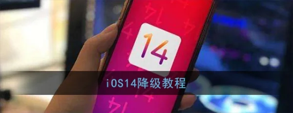iOS14都有哪些新功能-iOS14支持哪些机型-iOS14降级教程-第1张图片-科技快讯 iOS14都有哪些新功能-iOS14支持哪些机型-iOS14降级教程-第1张图片-科技快讯