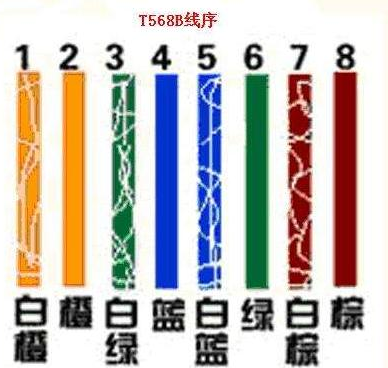 网线水晶头排线疑问(网线水晶头排线问题)-第1张图片-科技快讯 网线水晶头排线疑问(网线水晶头排线问题)-第1张图片-科技快讯